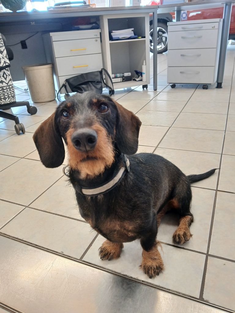 Portraitfoto der Kontaktperson