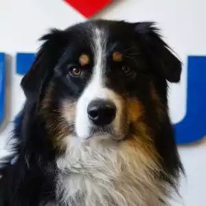 Portraitfoto der Kontaktperson