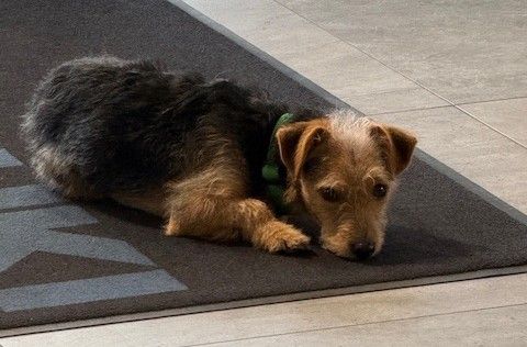 Portraitfoto der Kontaktperson