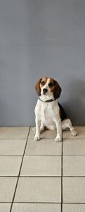 Portraitfoto der Kontaktperson