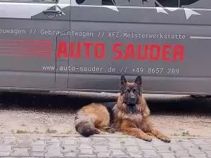 Portraitfoto der Kontaktperson