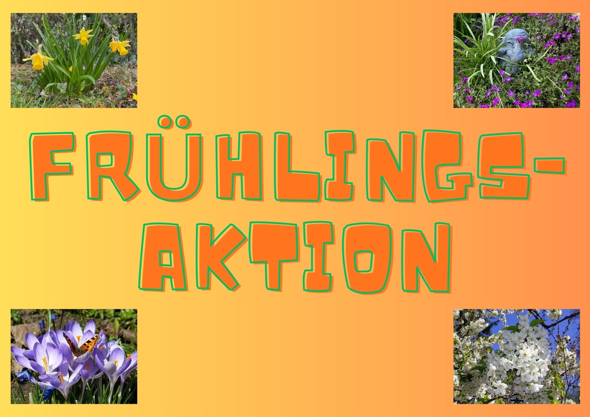 Frühlingsaktion