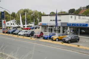 SUZUKI- Kulmbach 