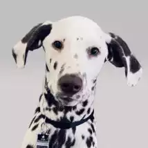 Portraitfoto der Kontaktperson
