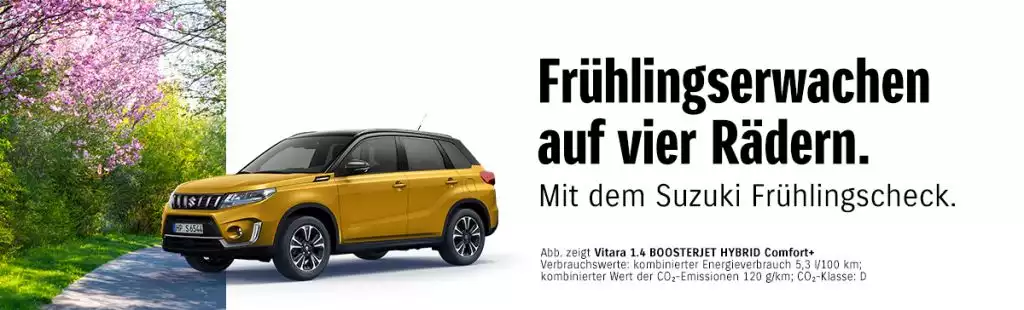 Politur / Lackversiegelung / Fenster / Innenreinigung