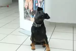 Portraitfoto der Kontaktperson