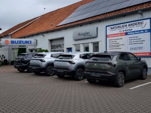EVitara Lieferung